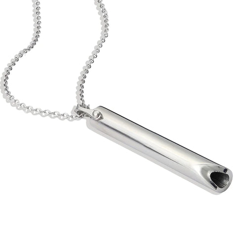 Stainless Steel Anxiety Necklace
