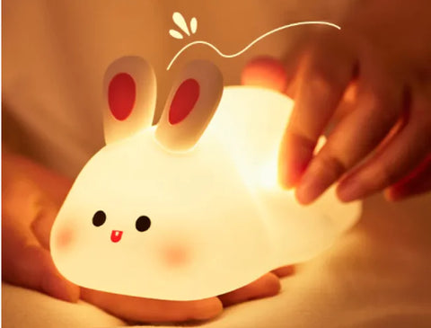 Rechargeable Night Light