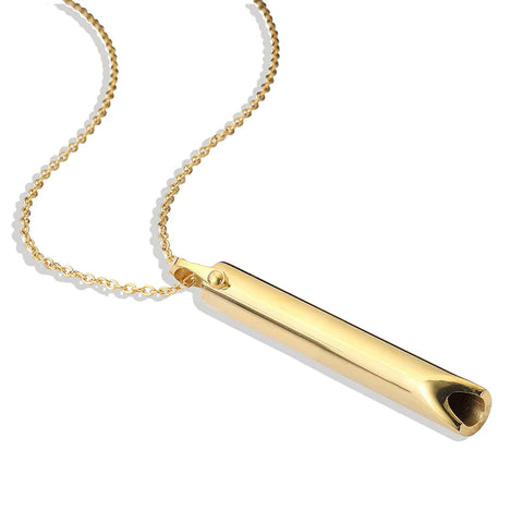 Stainless Steel Anxiety Necklace