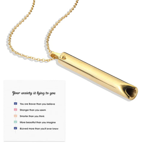 Stainless Steel Anxiety Necklace