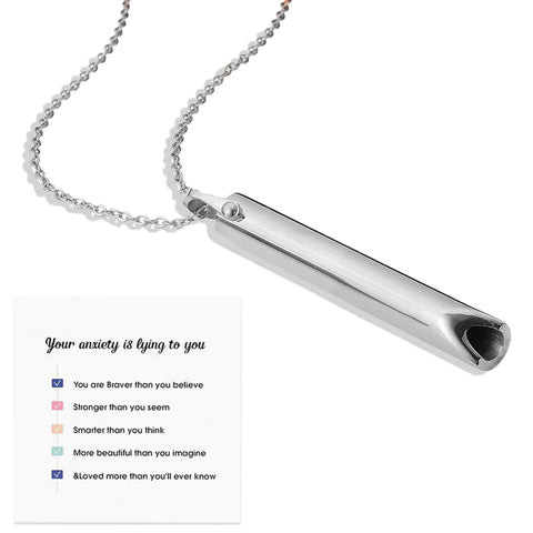 Stainless Steel Anxiety Necklace